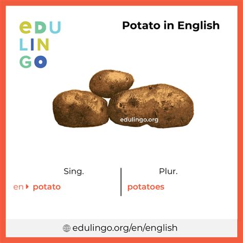 patotoo in English .